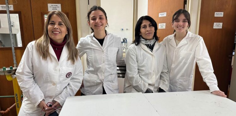 La solución funciona para grietas de varios milímetros de espesor. Está basada en la capacidad natural de ciertos microorganismos para metabolizar minerales, por lo que es amigable con el ambiente.