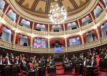El Senado debate interpelaciones a Karina Milei y a otros funcionarios