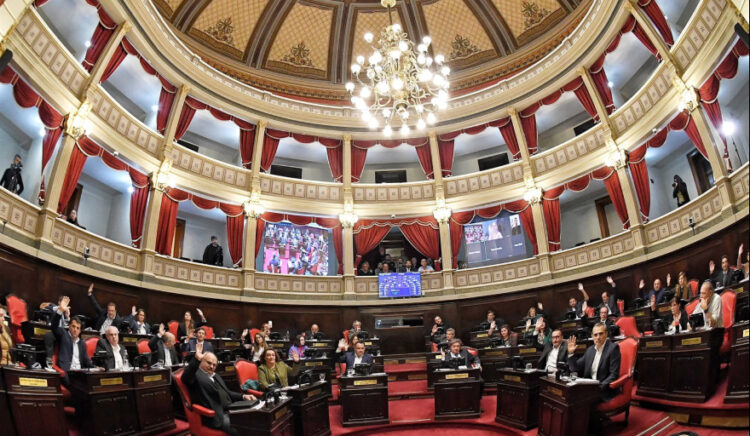 Día clave en el Senado: se discuten mañana pedidos de interpelación a Karina Milei y otros funcionarios.