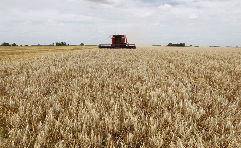 El gobierno espera que el campo liquide el remanente de la cosecha.