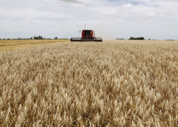 El gobierno espera que el campo liquide el remanente de la cosecha.