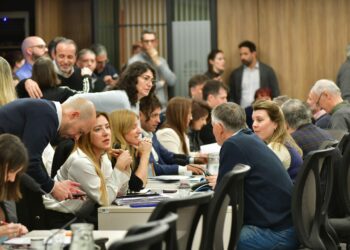 Diputados retoma el debate para investigar la causa Andis