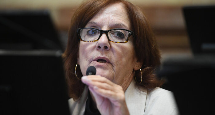 La senadora Alejandra Vigo, al frente de la Comisión de Asuntos Constitucionales, convocó a un plenario para debatir la interpelación a Karina Milei y a otros funcionarios del Gobierno.