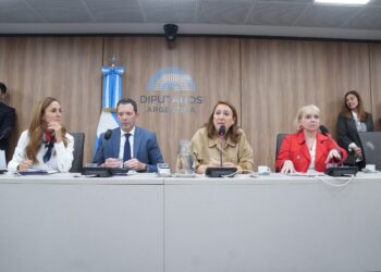 Diputados conformaron la comisión investigadora del fentanilo contaminado