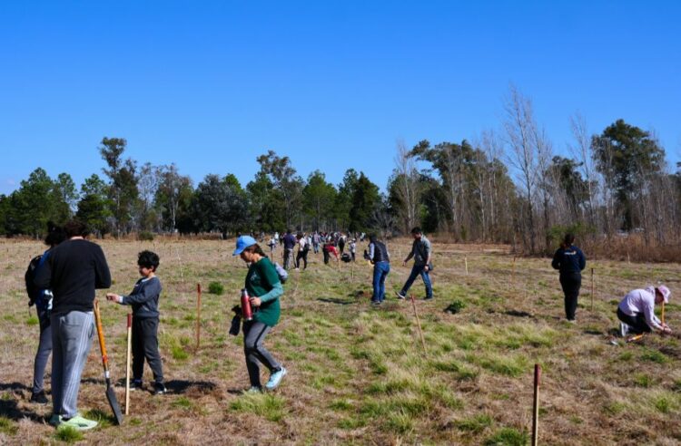 Plantación de 300 árboles nativos en la ciudad de Río Tercero.