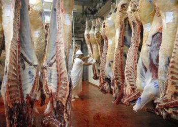 carne avícola y bovina