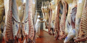 carne avícola y bovina