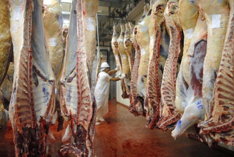 carne avícola y bovina