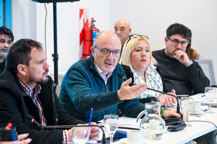 Comisión de Servicios Públicos, Movilidad y Tránsito del Concejo Deliberante