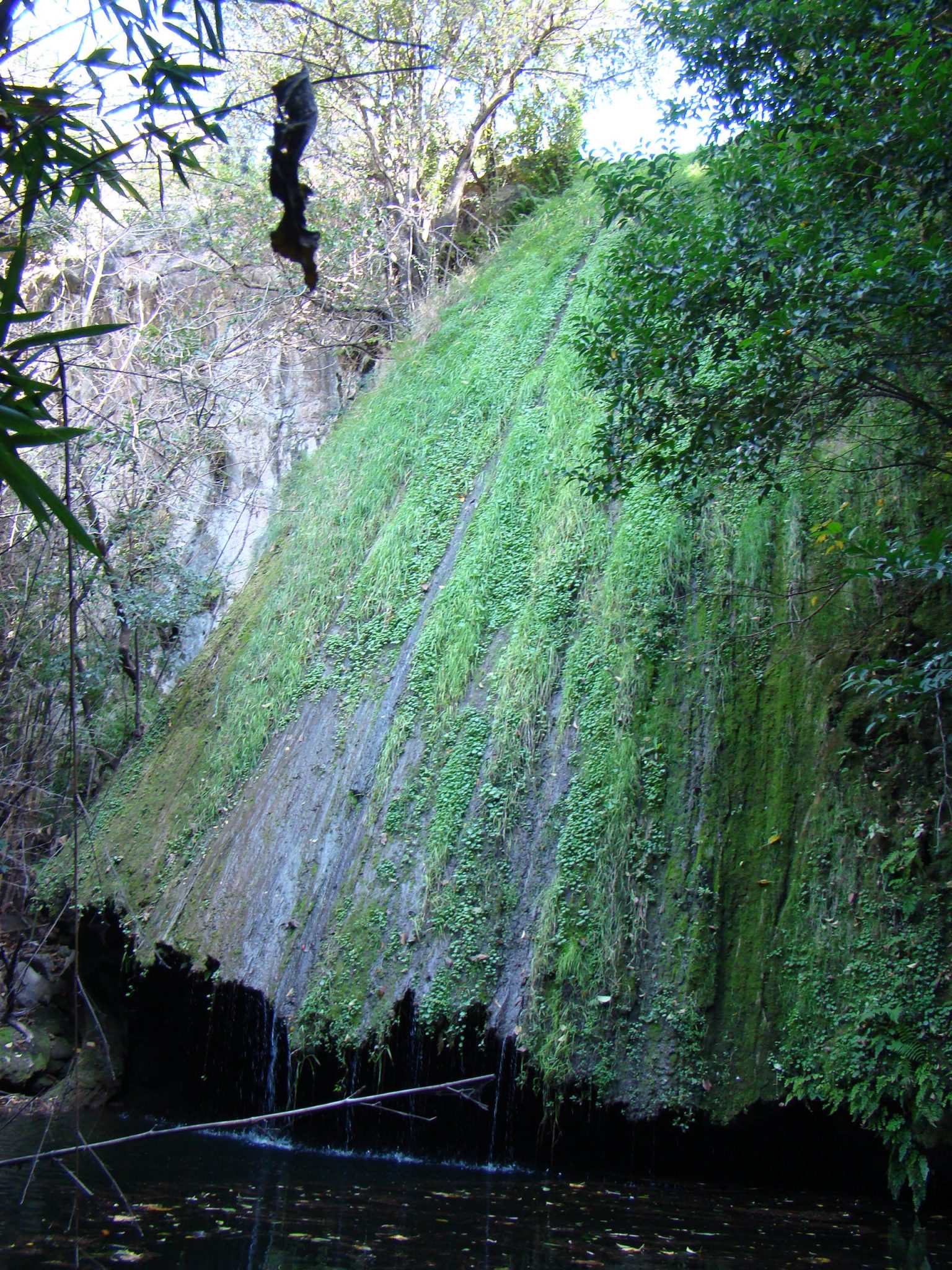 Dentro de la Reserva está el arroyo La Campana y esta formación calcárea natural. 