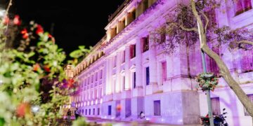 Día Provincial por el Derecho a la Adopción