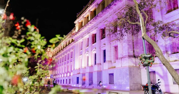 Día Provincial por el Derecho a la Adopción