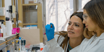 En animales de laboratorio, la formulación logra el mismo efecto calmante, pero con una cantidad significativamente menor de droga. El proyecto fue uno de los ganadores del certamen UNC Innova 2025.