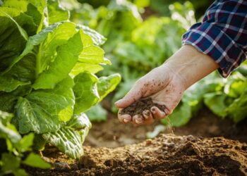 A un año del acuerdo por la educación