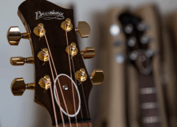 Guitarras argentinas ya cuentan con certificación internacional de madera sostenible