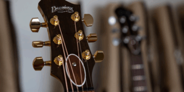 Guitarras argentinas ya cuentan con certificación internacional de madera sostenible