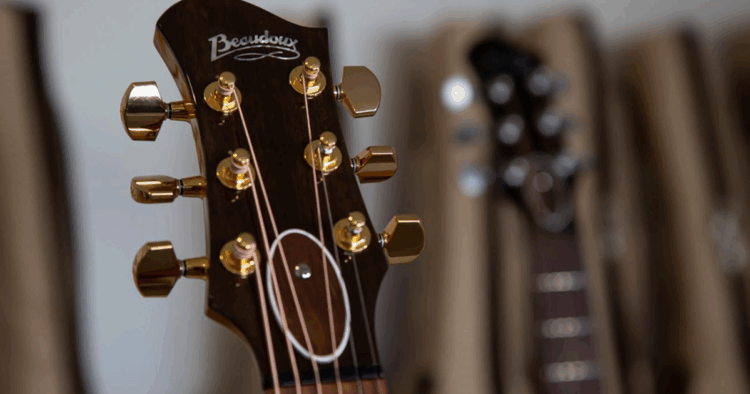 La certificación de la cadena de custodia (CdC) PEFC garantiza que los productos elaborados
con madera, como las guitarras Beaudoux, se nutren de fuentes gestionadas
responsablemente y controladas.