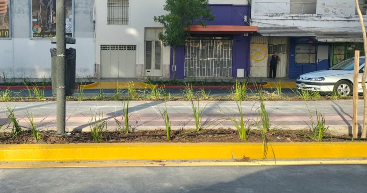 Habilitaron la boulevarización de la avenida Maipú: cómo serán los recorridos de colectivos
