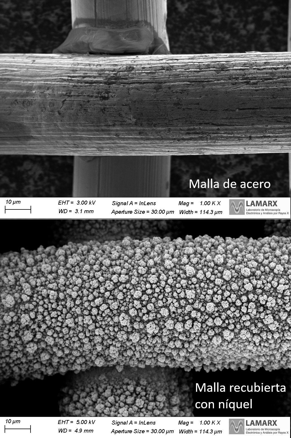 Una idea de la UNC permitiría reducir los costos para producir hidrógeno verde Una idea de la UNC permitiría reducir los costos para producir hidrógeno verde