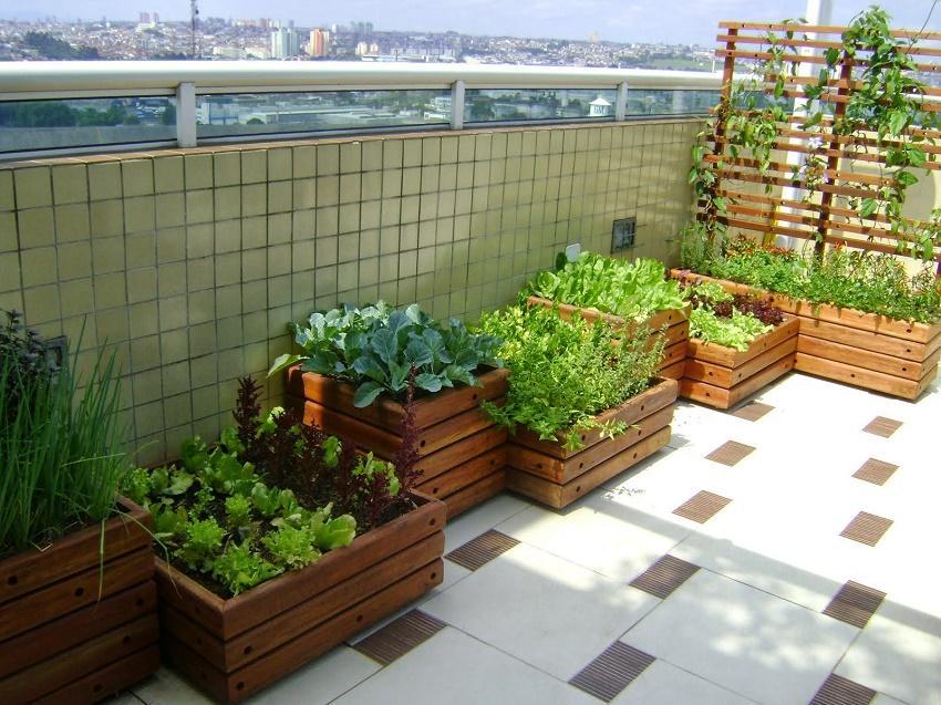 Primavera. Guía práctica para preparar el jardín y la huerta Primavera. Guía práctica para preparar el jardín y la huerta