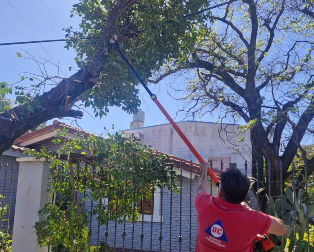 "Lo que el viento se llevó" durante el fin de semana