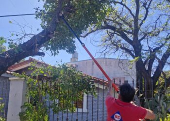 «Lo que el viento se llevó» durante el fin de semana