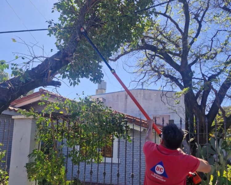 "Lo que el viento se llevó" durante el fin de semana