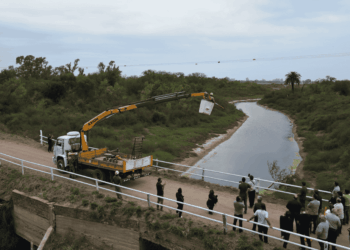 Miramar instaló desviadores de vuelo en líneas eléctricas para proteger aves migratorias