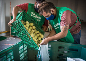 Día Internacional de Concienciación sobre la Pérdida y el Desperdicio de Alimentos