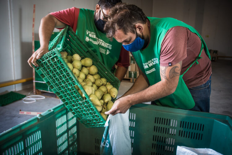 Voluntarios de los Bancos de Alimentos clasifican y distribuyen alimentos recuperados en distintas localidades del país, en el marco del Día Internacional de Concienciación sobre la Pérdida y el Desperdicio de Alimentos.