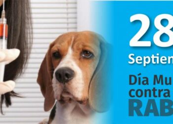 Advierten por el aumento de mordeduras y la necesidad de vacunar a mascotas