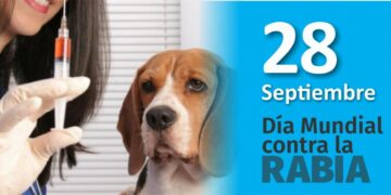 Advierten por el aumento de mordeduras y la necesidad de vacunar a mascotas