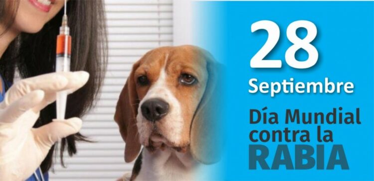 La vacunación anual de perros y gatos es la herramienta más efectiva para prevenir la rabia y proteger la salud de toda la comunidad.
