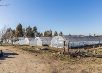 También se entregaron aportes en Santa Rosa de Calamuchita para la compra de maquinaria.