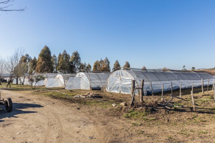 También se entregaron aportes en Santa Rosa de Calamuchita para la compra de maquinaria.