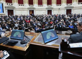 Diputados citó a comisiones para interpelar a Karina Milei