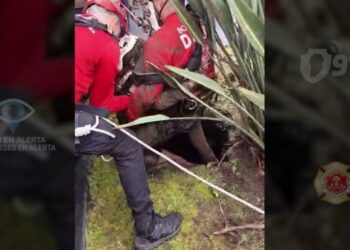 Rescataron a una mujer de 82 años que cayó en un pozo de nueve metros en Córdoba