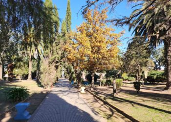 La vida en los pueblos cordobeses: tradición, comunidad y desafíos