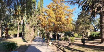 La vida en los pueblos cordobeses: tradición, comunidad y desafíos