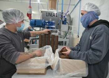 Alfajores cordobeses: nuevo proyecto busca combatir el sobrepeso infantil