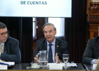 Exigen aplicar la ley de emergencia en Discapacidad y reformar la ANDIS