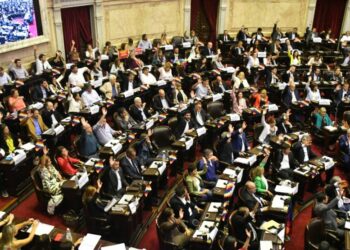 Diputados avanza con el dictamen que limita el uso de los DNU