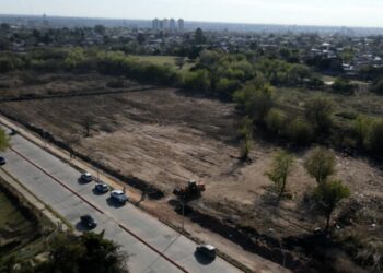 Macrobasural de Roque Arias.