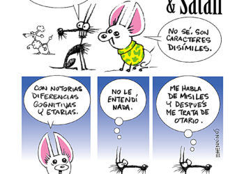 10 años del colectivo Fuerza Mayor