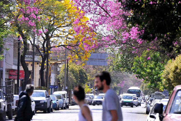 Córdoba vivirá un fin de semana con tiempo estable: sol el sábado, nubes el domingo y temperaturas agradables sin lluvias previstas.