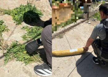 Allanamientos en Córdoba: detenidos por robo, homicidio y delitos contra la integridad sexual