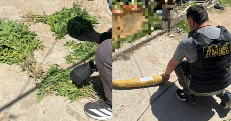 Fotografías en relación al procedimiento realizado.