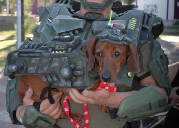 Patas cortas, corazones grandes: vuelve el encuentro salchichero con un fin solidario