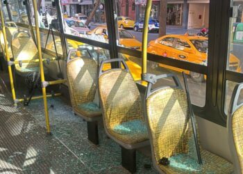 Colectivo de la empresa Coniferal.