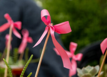 Córdoba Rosa: cómo y dónde conseguir turnos gratuitos